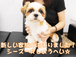 仲間が増えました＆新しい家族が決まりました♪